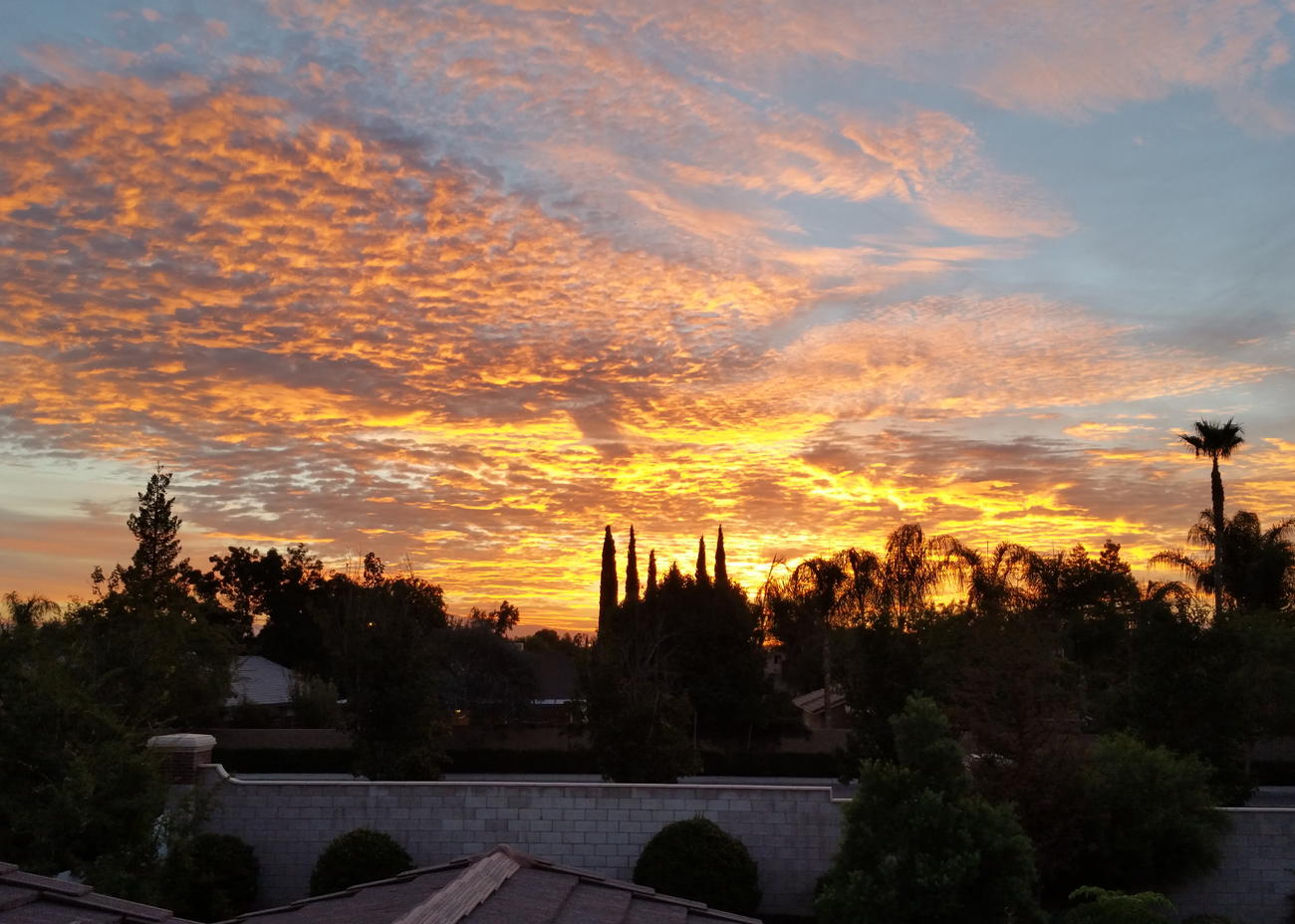 Morning Golden Hour from my Backyard