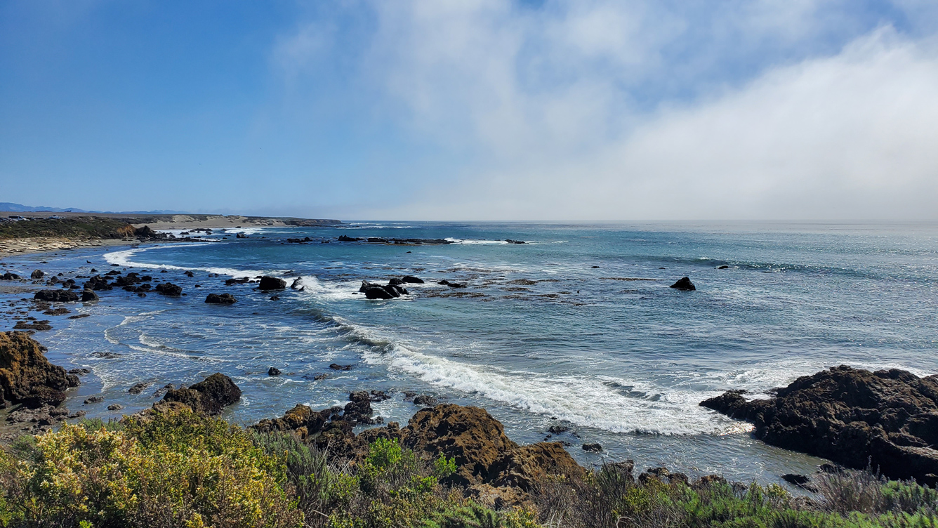 Seascape from Elephant Seal View Point