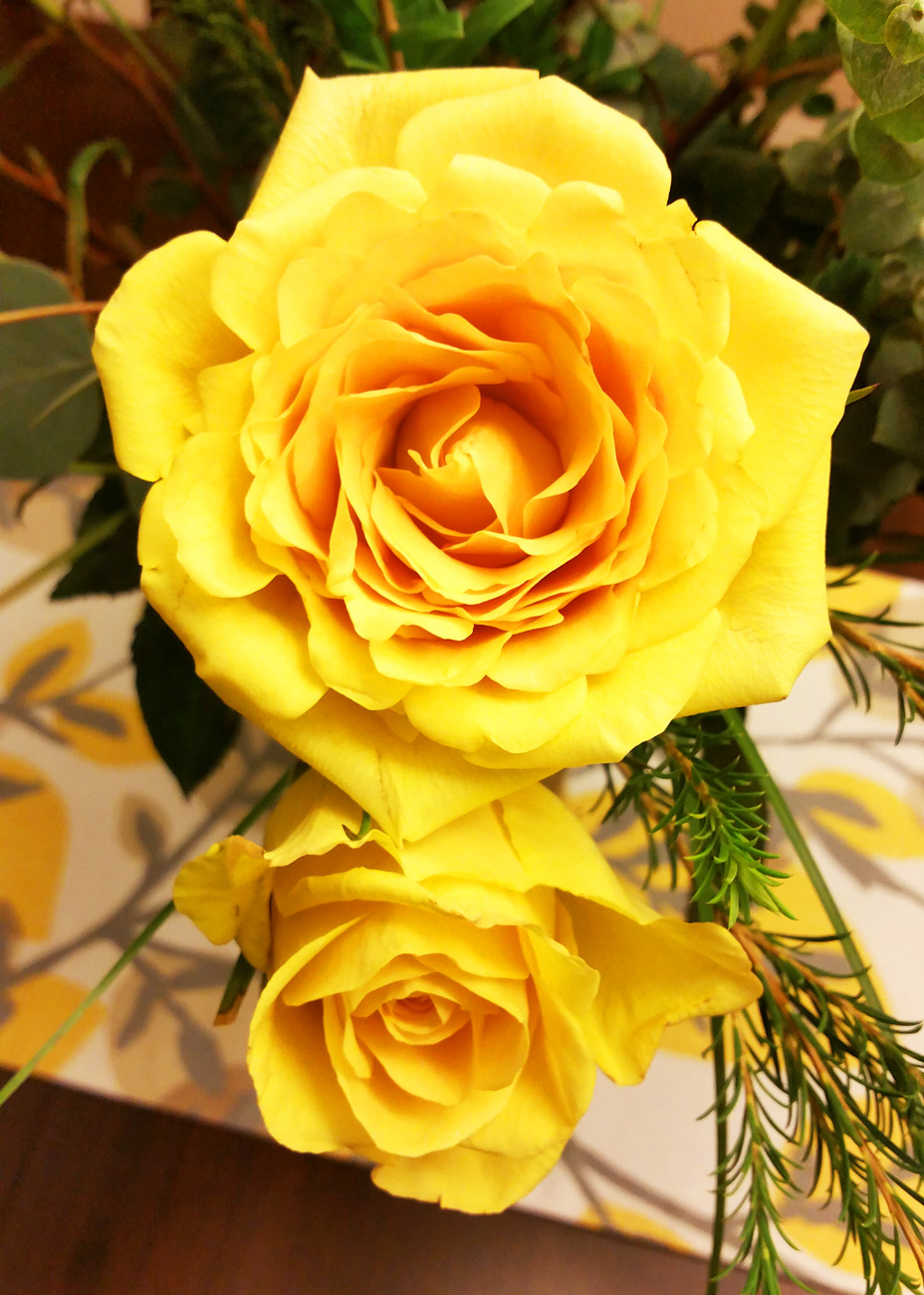 Two Yellow Roses