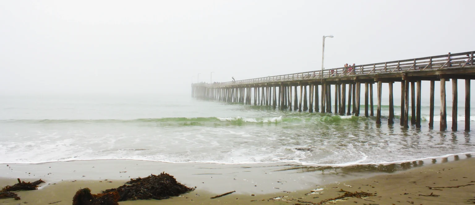 Fuggy Seashore Scene – Cayucos