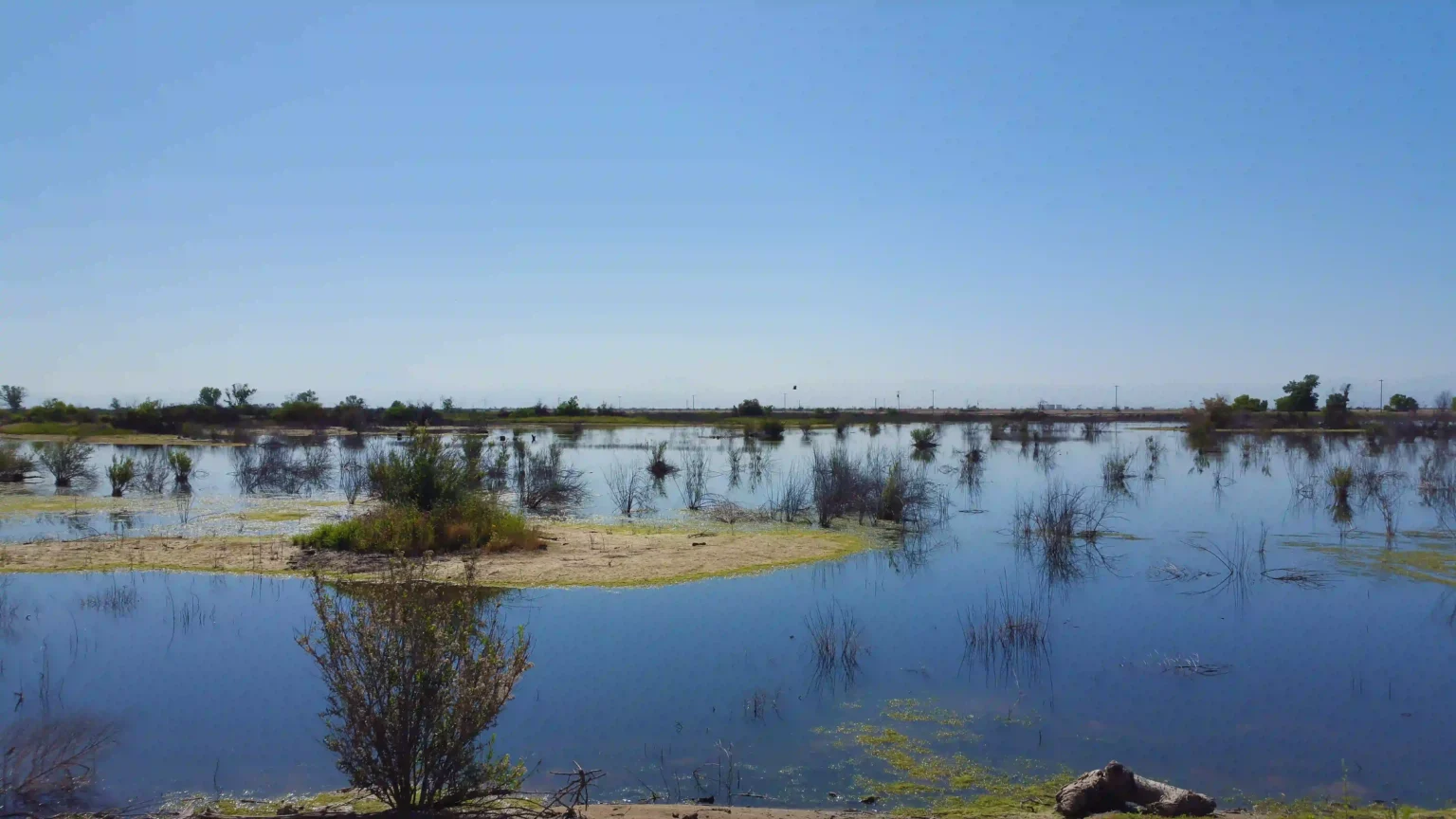 Waterbed View – Bakersfield