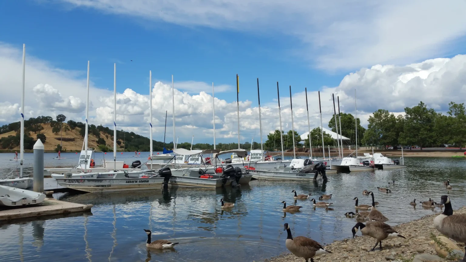 Ducks & Boats – Near Sacramento