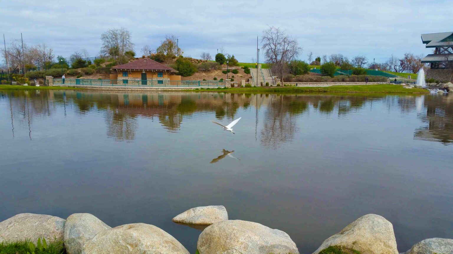 Flying Reflection – Bakersfield