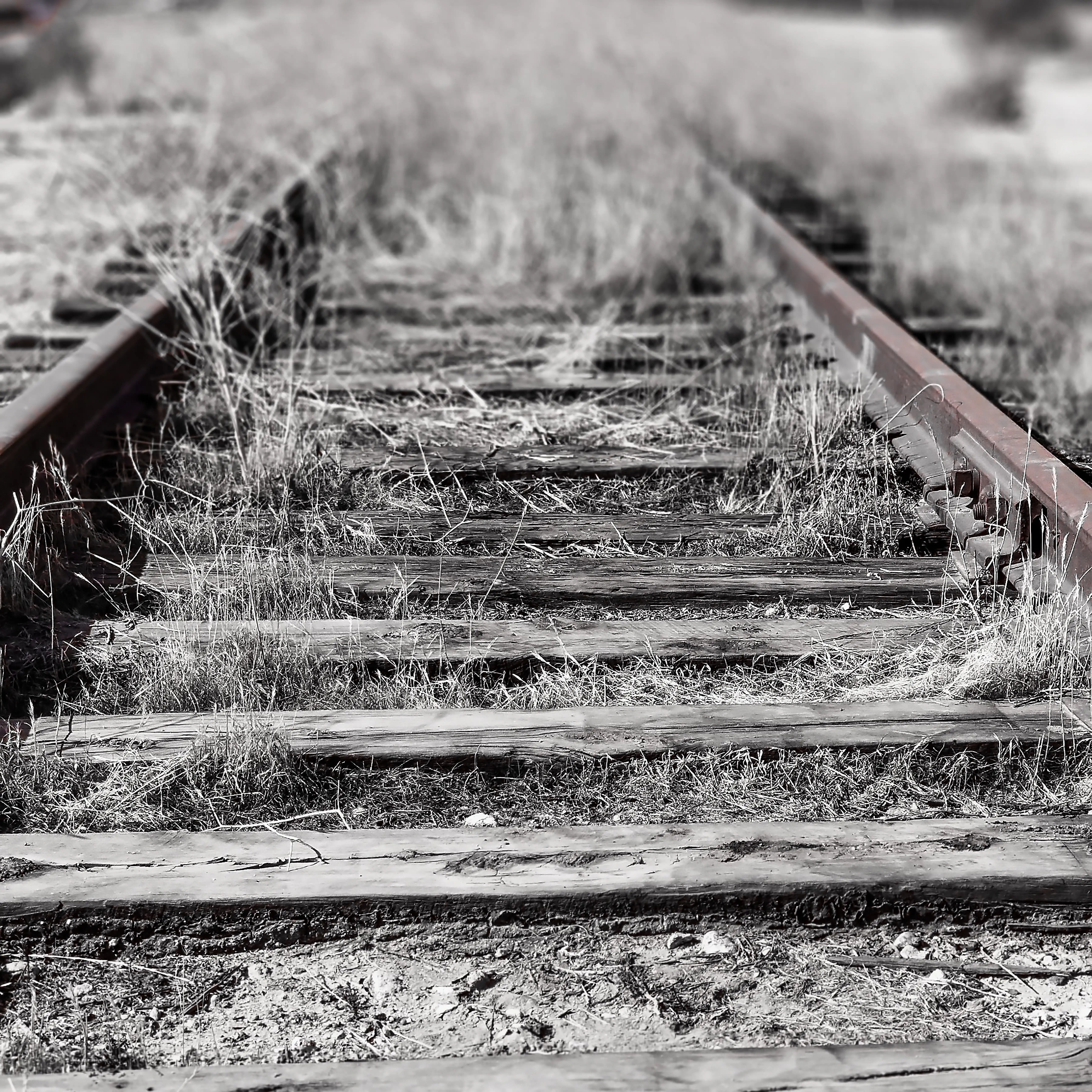 Old Rail Tracks, Kern River, Bakersfield