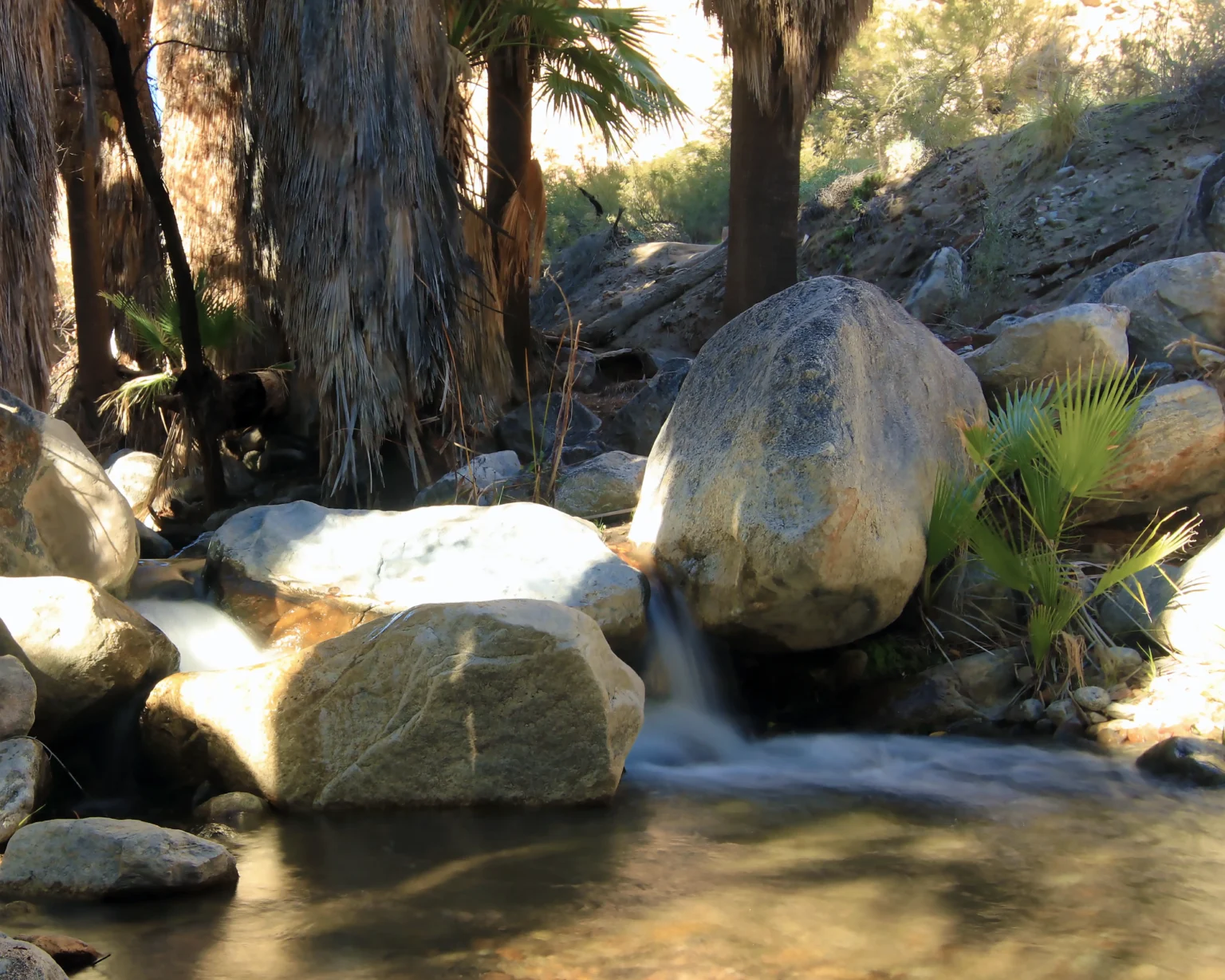 Small Waterfall. Murray Canyon, CA.