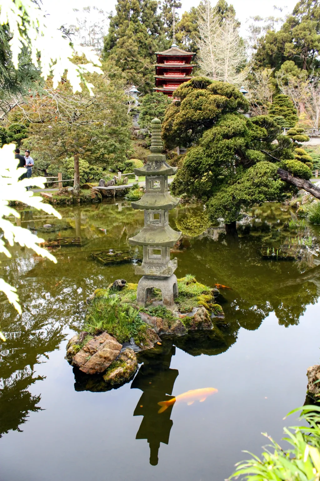 Japanese Garden Reflection